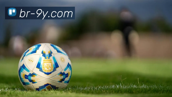 九游官网APP 封面图